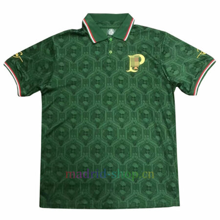 Camiseta Chapecoense 2023/24 Edición Especial