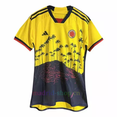 Camiseta Japón Monte Fuji