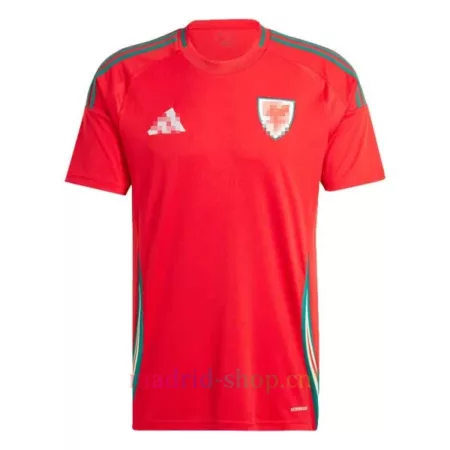 Camiseta Gales Segunda Equipación 2024