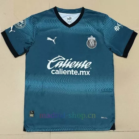 Camiseta Tottenham Hotspur Segunda Equipación 2024-25 Versión Jugador