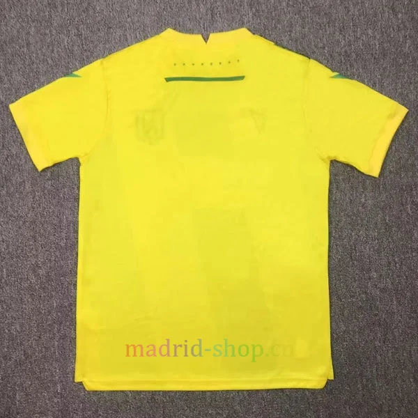 Camiseta FC Nantes Primera Equipación 2024-25 Camiseta FC Nantes Primera Equipación 2024-25 - Imagen 2