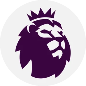 Camisetas Premier League