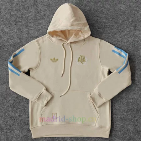 Sudaderas Con Capucha Argentina 2024 Gris