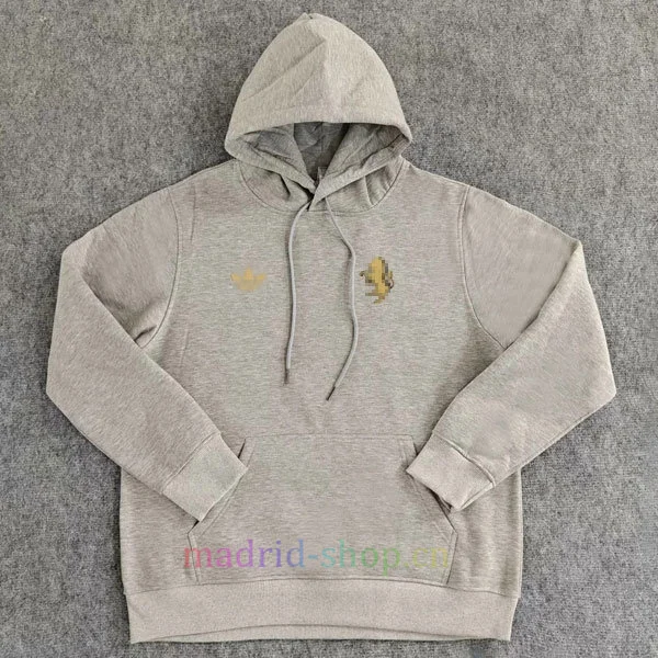 Sudaderas Con Capucha Juventus 2024-25 Gris Sudaderas Con Capucha Juventus 2024-25 Gris