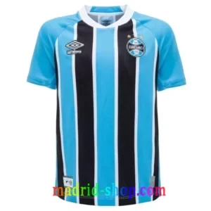 Camisetas Gremio