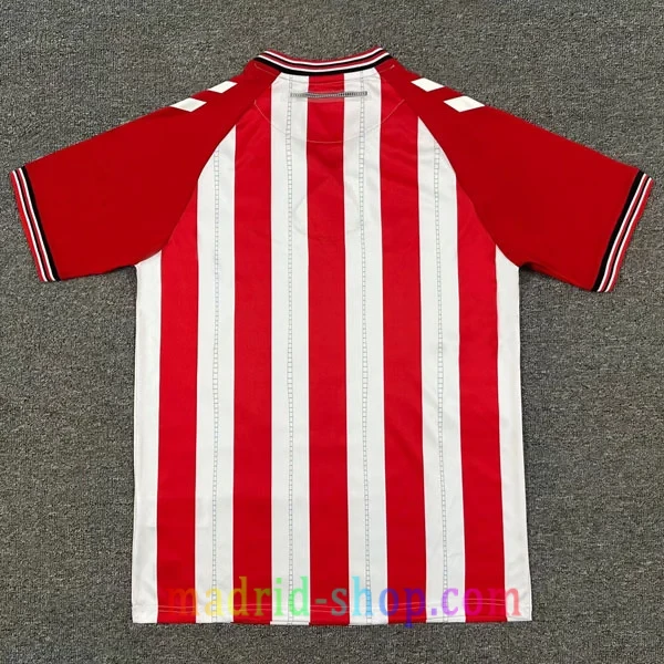 Camiseta Sunderland Primera Equipación 2025-26 Camiseta Sunderland Primera Equipación 2025-26 - Imagen 3