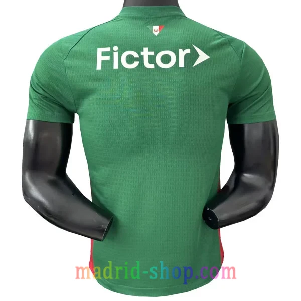 Camiseta Palmeiras Primera Equipación 2026-27 Versión Jugador Camiseta Palmeiras Primera Equipación 2026-27 Versión Jugador - Imagen 3