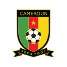 Camisetas Camerún