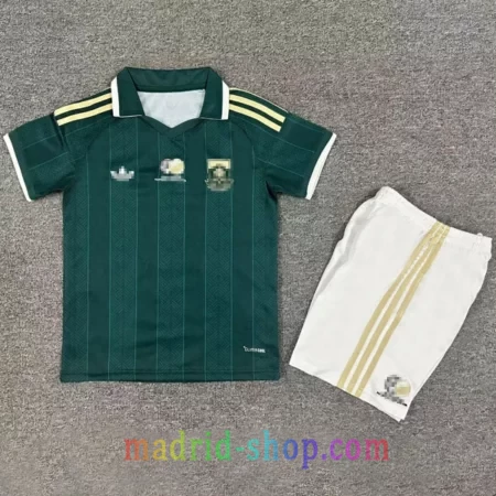 Camiseta Sudáfrica Segunda Equipación 26 Niño