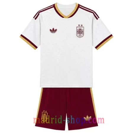 Camiseta España 2 Estrellas Segunda Equipación 26 Niño